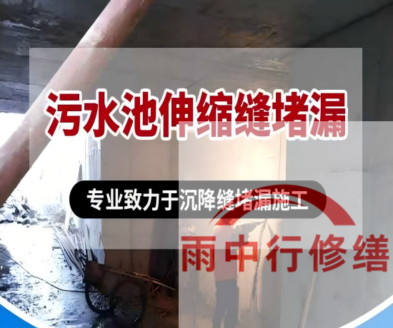 河东某污水处理厂钢筋混凝土池堵漏案例