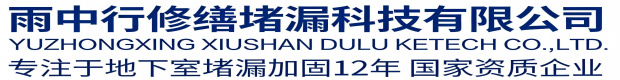 河东雨中行科技防水堵漏工程有限公司